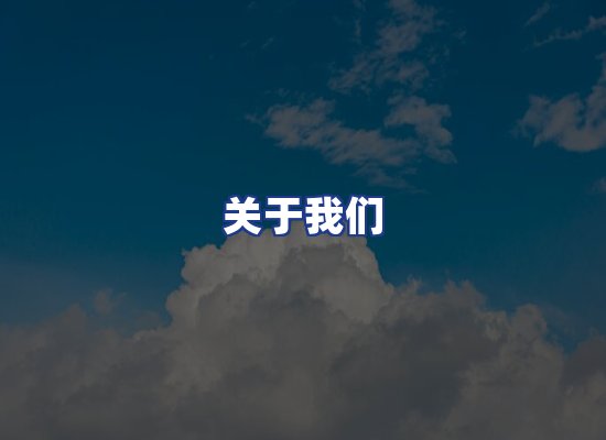 专业团队